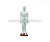50cm中医系列模型人体针灸模型（男性）