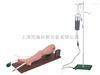 TAH/L65A骨穿刺及股静脉穿刺模型临床医学诊断专科模型