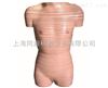 TAH/30003女性躯干横切面断层解剖模型人体解剖医学模型